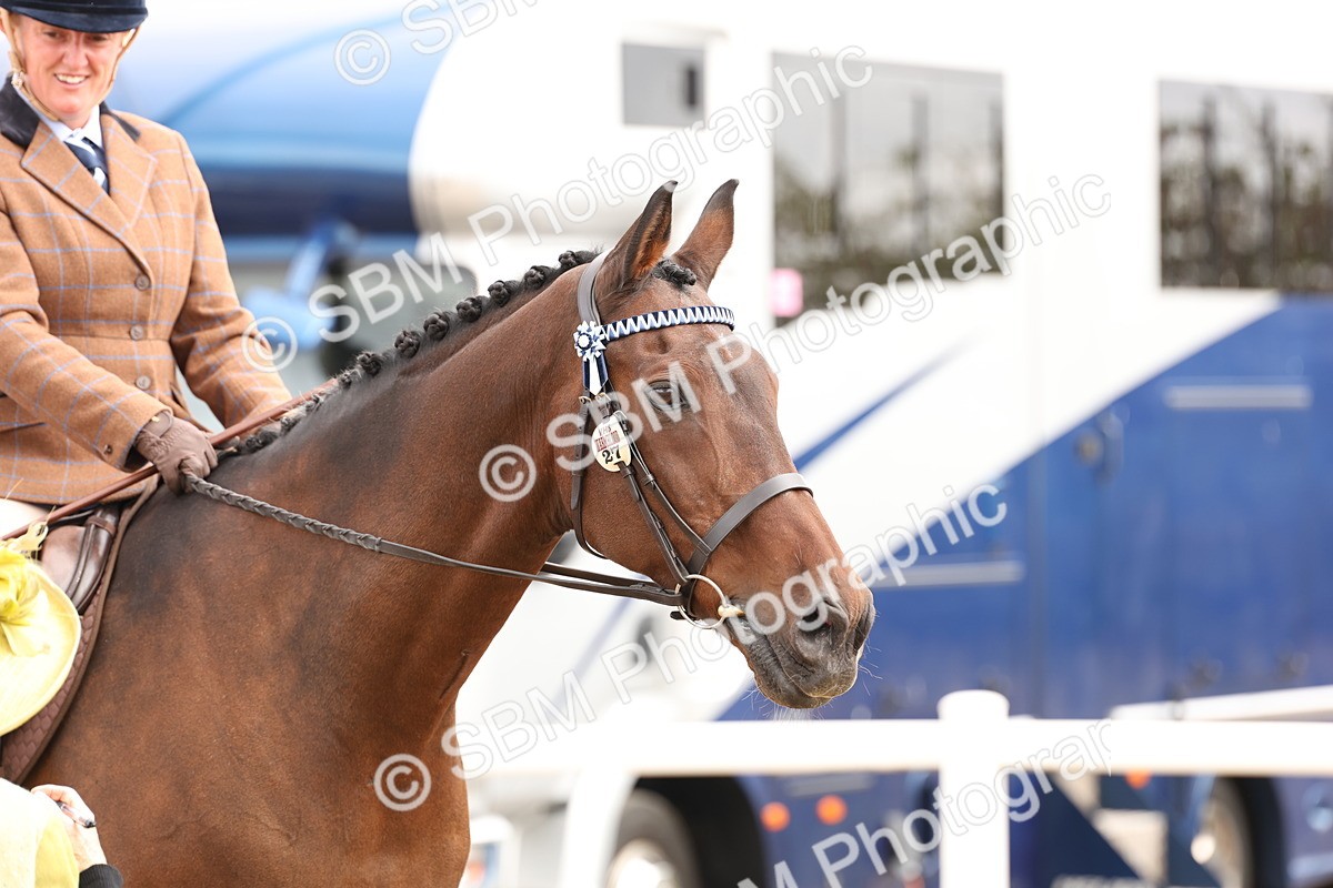 SBM_02859 - Class 53 - Ridden Competition Horse/Pony