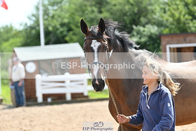 240717A-150957-02598 - Trot Up 3pm to 4pm