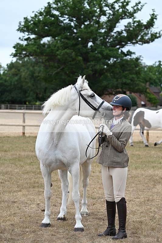 WJ7_9129 - Class 4a Prettiest Mare 14.2hh and over