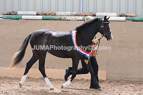 SIAL0441 - Indoor Classes