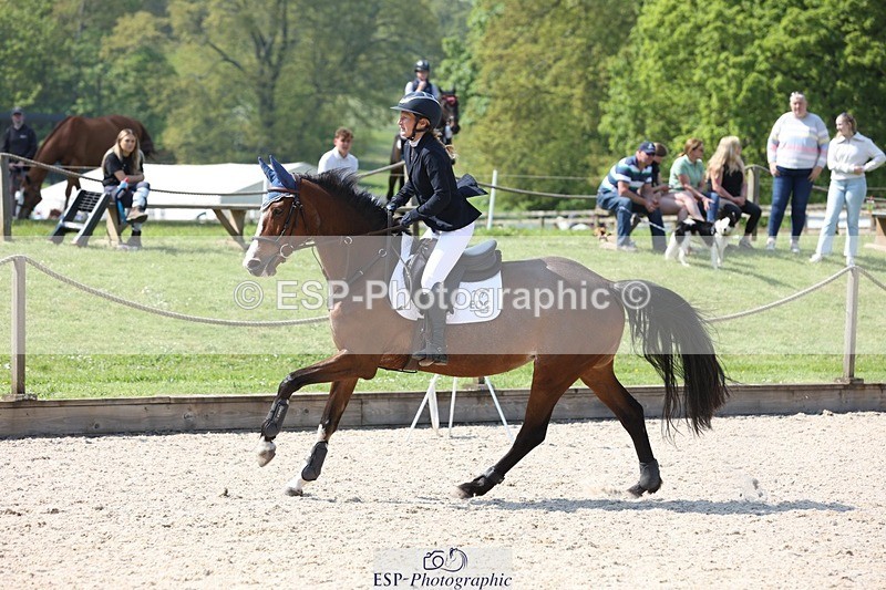 230513-152408-07492 - Cls 22 Snr Fox