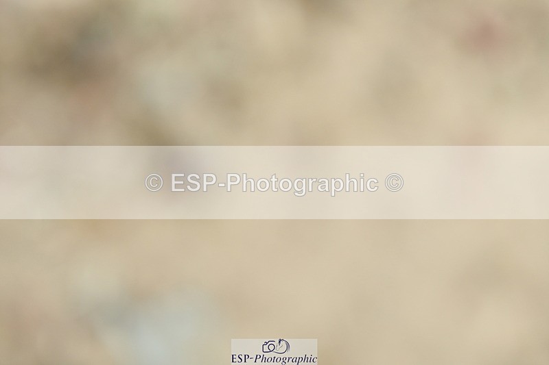 230702A-112050-08862 - Cls 30 Music Elementary