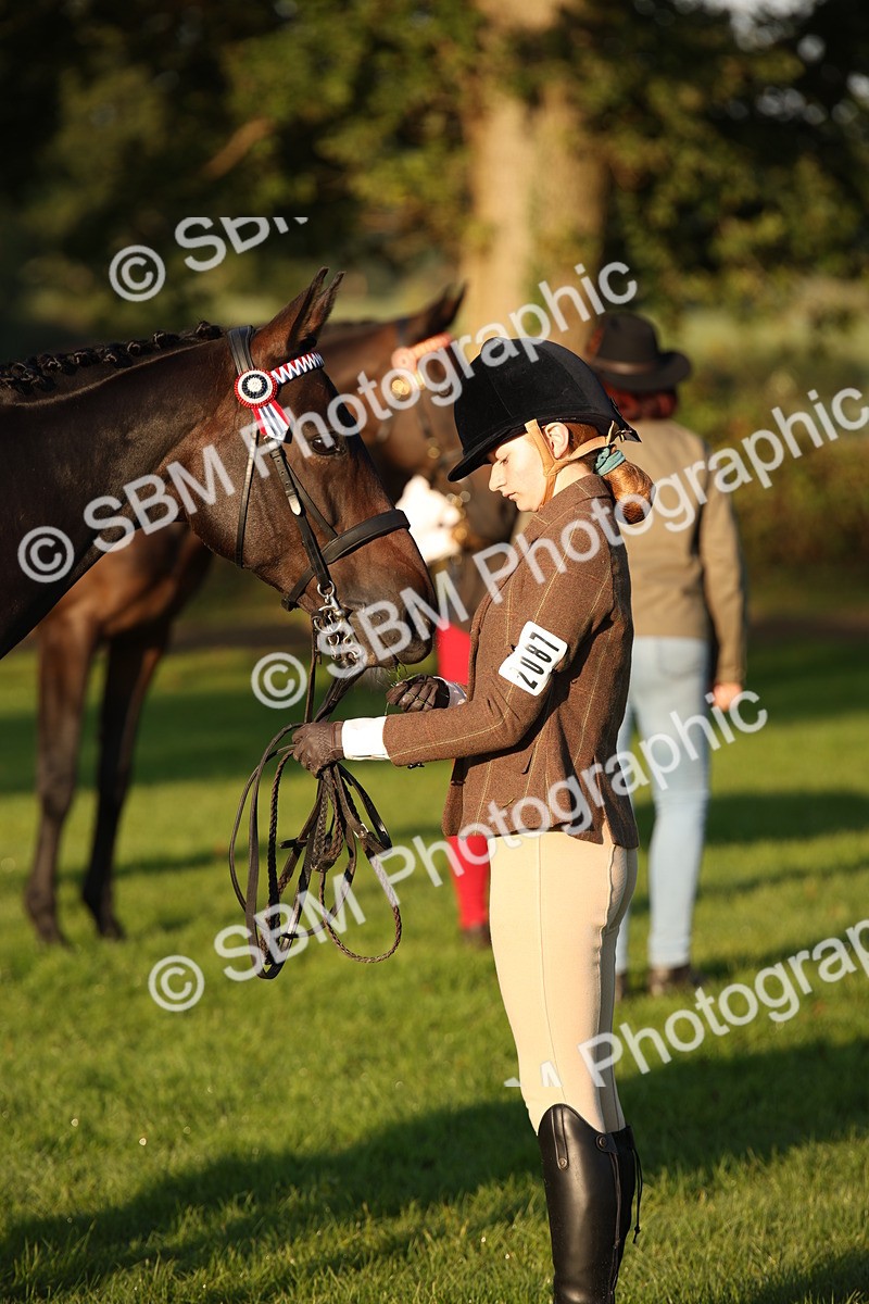 SBM_56893 - S49 - Riding Horse & Hack & Thoroughbred In Hand