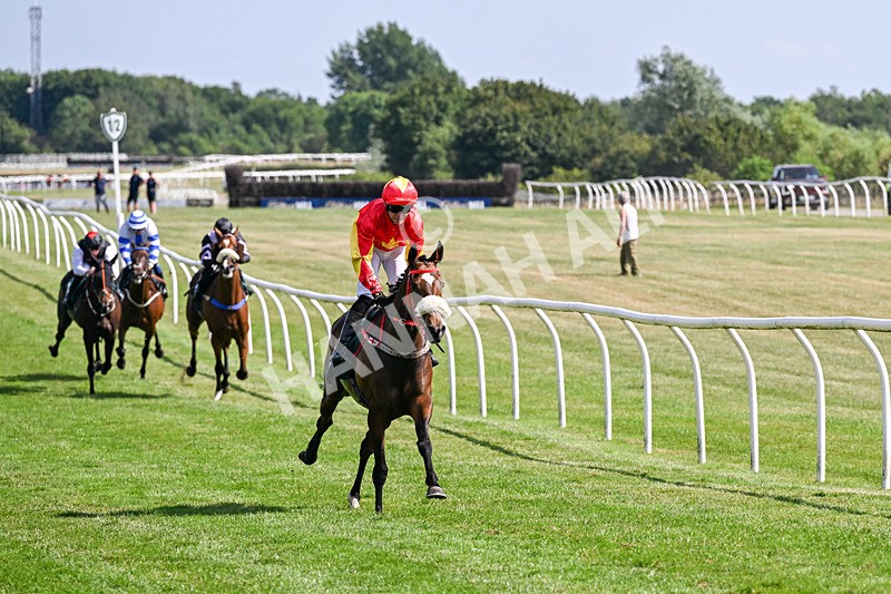 080726-Race 5-Sugarpiehoneybunch-7548 - Race 5 16.00pm Bet At racingtv.com Handicap