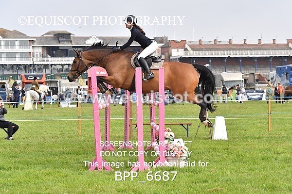 BPP_6687 - CLASS 2 RHS Classic Champ Qual (1.20m)