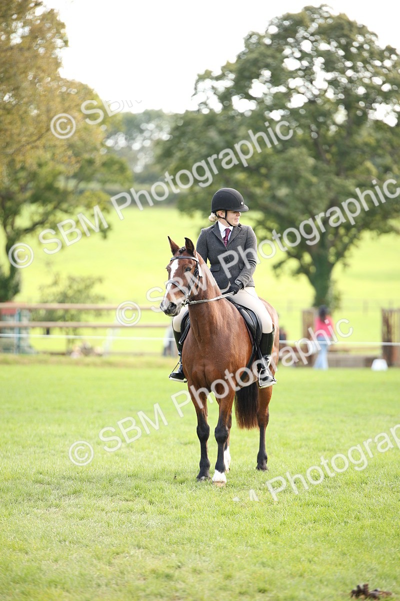 SBM_50233 - S26 - Young Veteran - Ridden