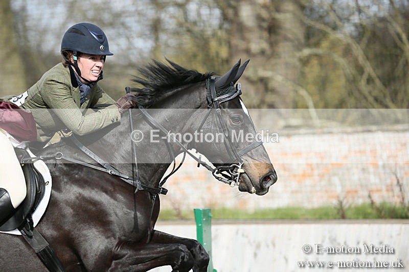 BVRC SJ 170319 771 - Bourne Valley Riding Club Showjumping 17/03/19