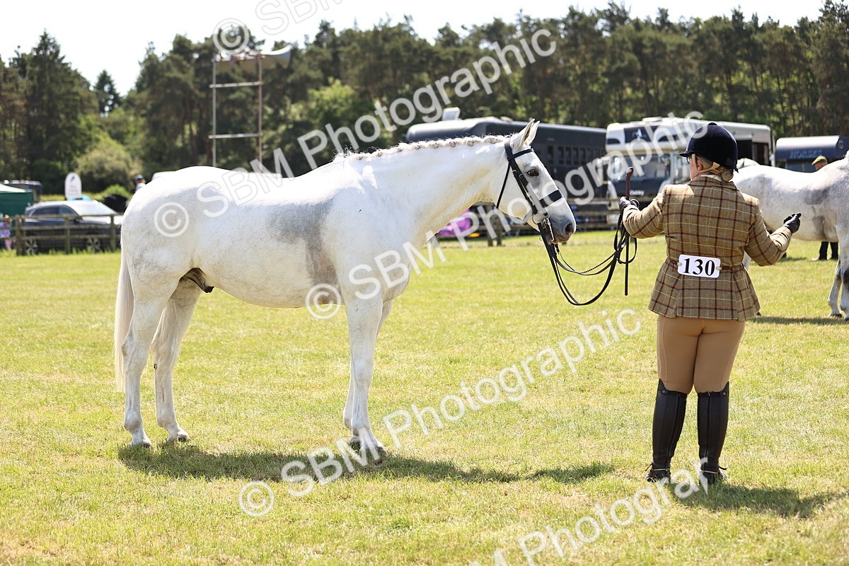 SBM_16168 - Class 79-80 - LIHS BSHA Rising Star Ridden Hunter