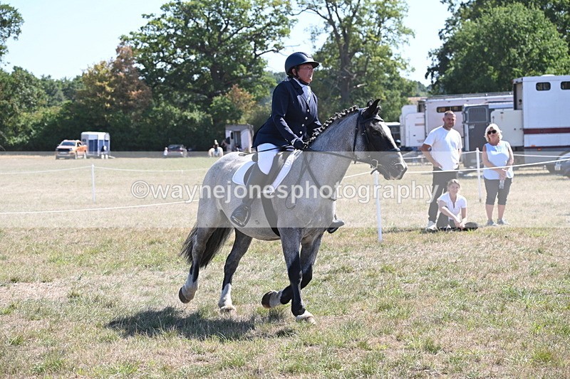 WJ6_8901 - Class 38 Ridden Riding Horse/Pony