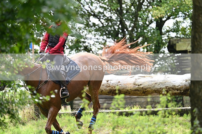 WJ7_7865 - Time 13:50 to 14:03