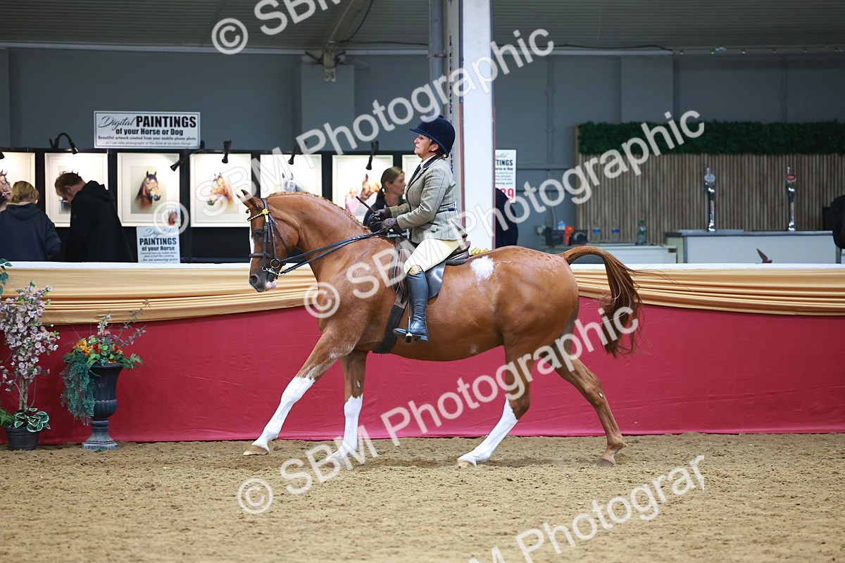 SBM_06094 - Class 12R - Ridden Pre-Vet