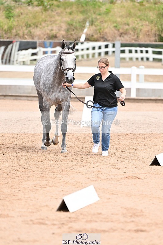 250716-142159-01039 - Trot Up 1.30 to 2.30