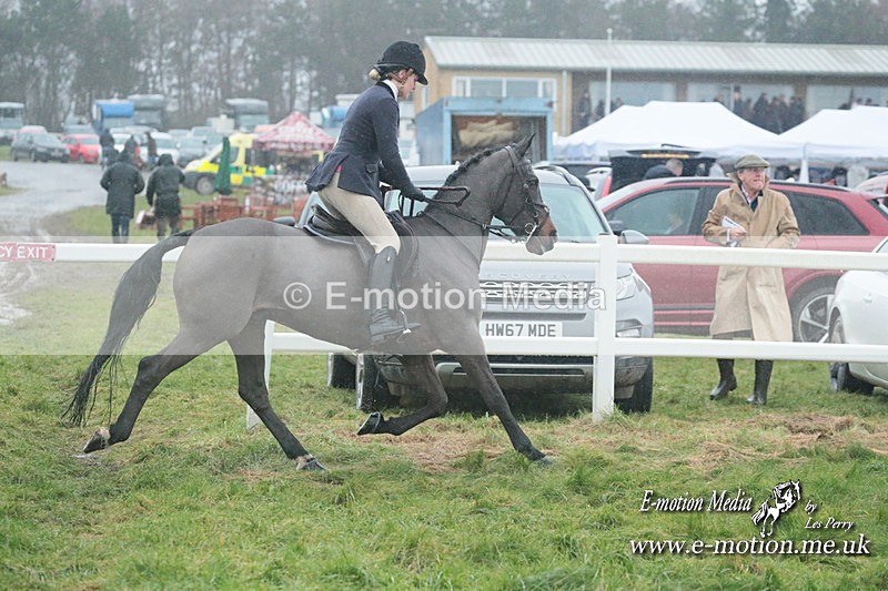 PtP 101223 546 - New Forest Hounds PtP Larkhill 10/12/23