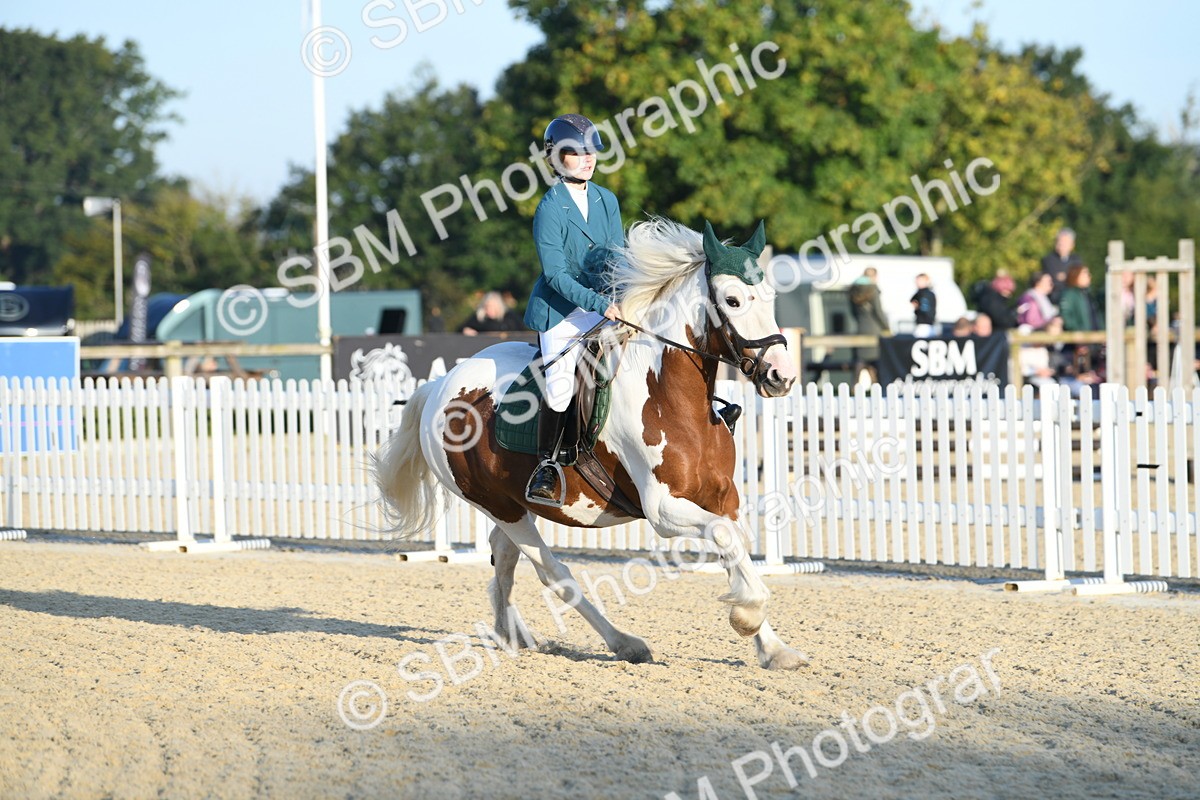 SBM_58009 - J24 - Junior Horse 75cm Championship