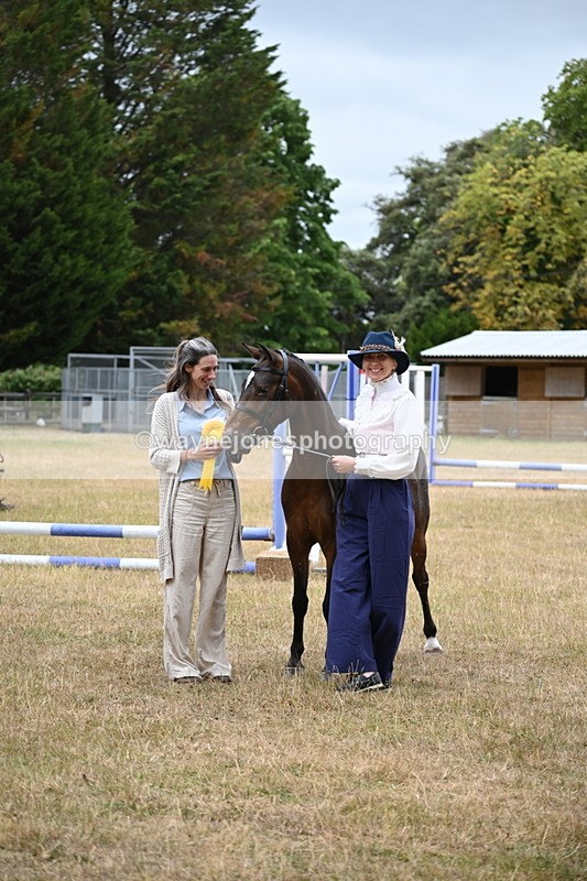 WJ6_8440 - Class 10 Coloured in Hand
