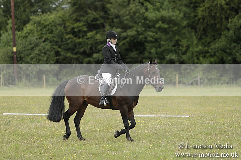 BVR160717-654 - Class 1 & 23a Dressage 16/07/17