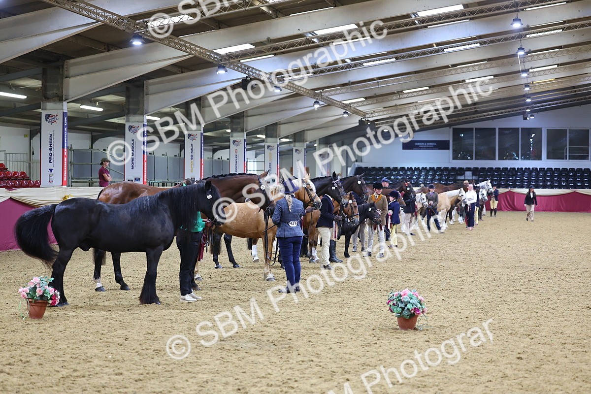 SBM_19750 - Class 901 - Supreme Final - IH Diamond