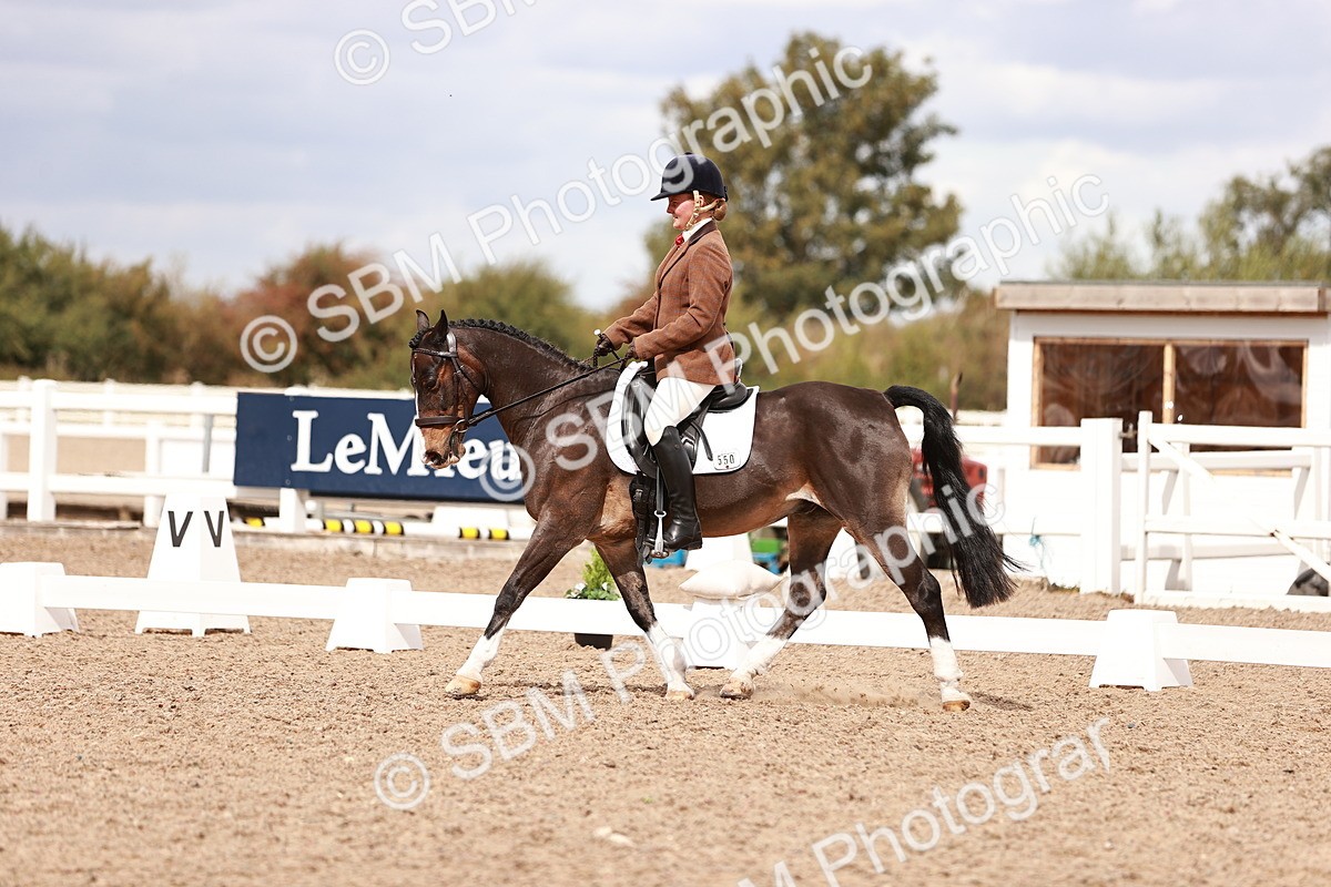 SBM_06226 - Class 37 - Novice 5