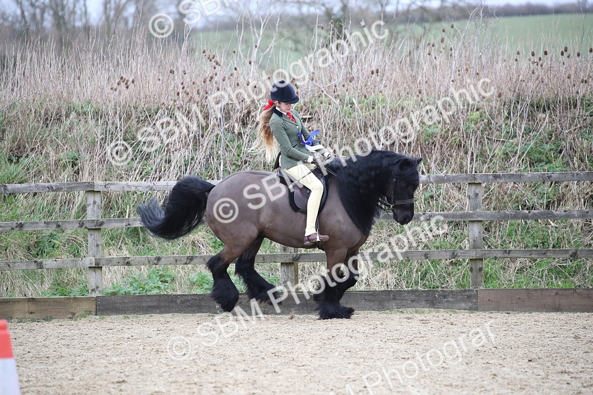 SBM_006252 - Class 10-13 - RIHS Small Large Breeds