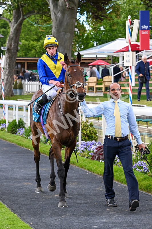130626-Race 6-Point Of Contact-2220 - Race 6 16.50pm Ice Co Supporting Macmillan Handicap