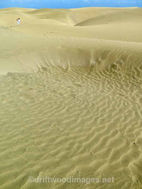 Gran Canaria sand dunes - Gran Canaria