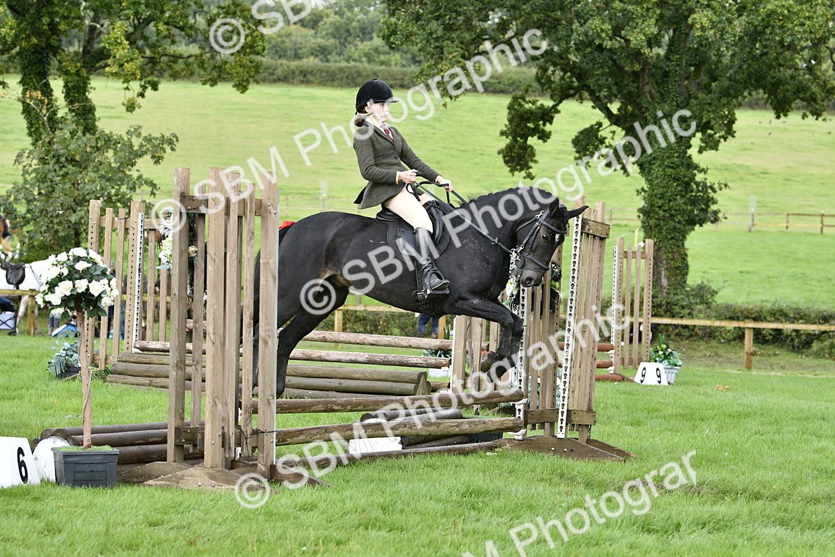 SBM_41510 - S32 - Mountain & Moorland Working Hunter Pony