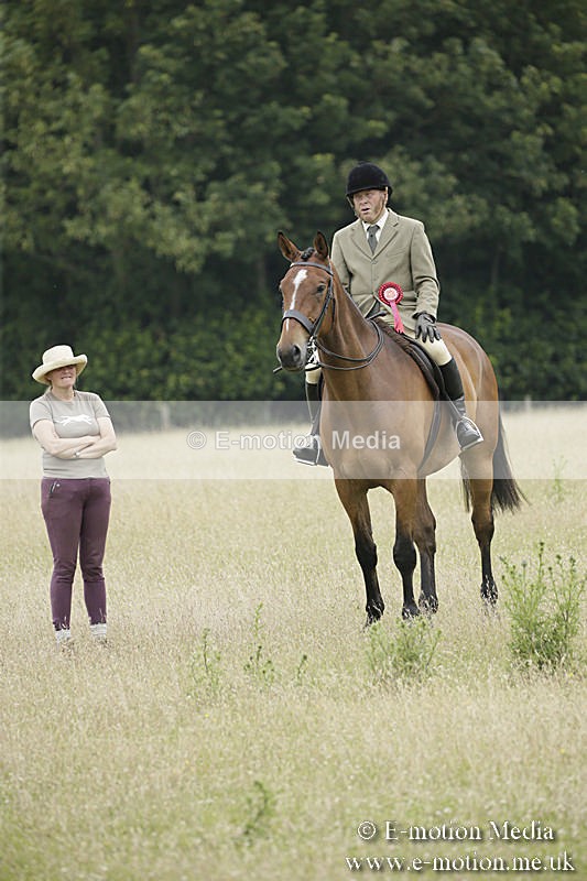 B230619-0908 - Bourne Valley Riding Club Summer Show 23/06/19