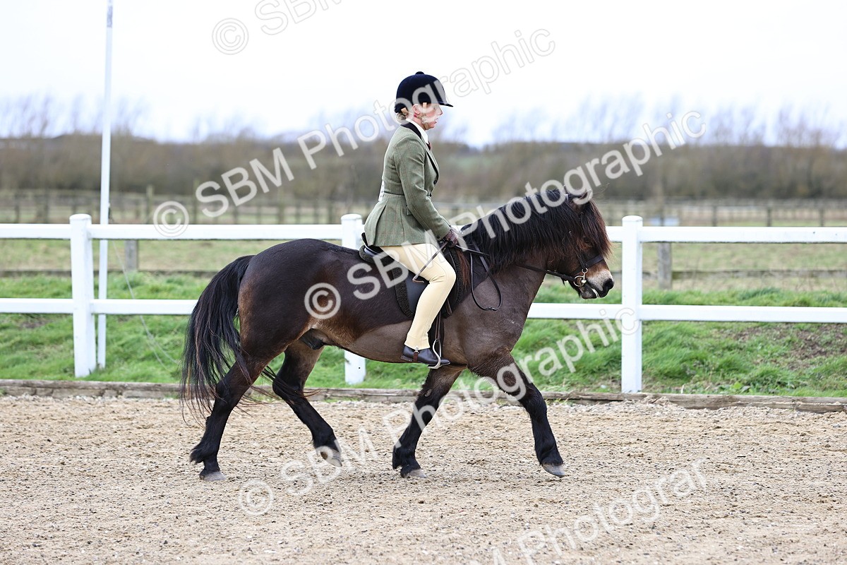 SBM_006743 - Class 29 - 30 - M&M Pure Novice Small-Large Breeds