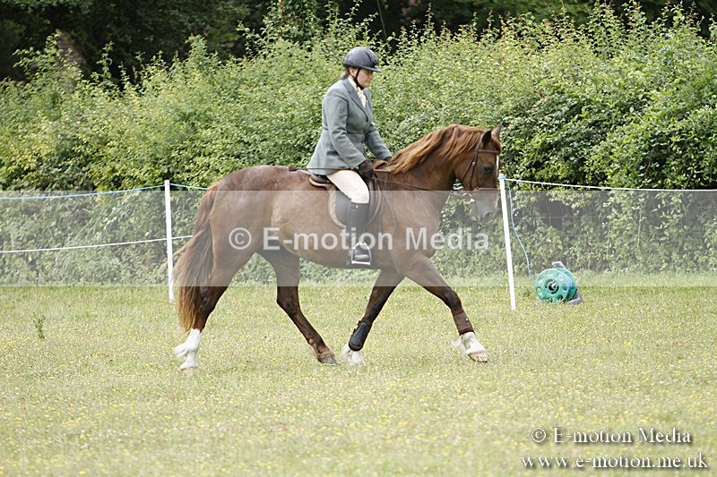 BVR160717-390 - Ring 3 BVRC Show 16/07/17