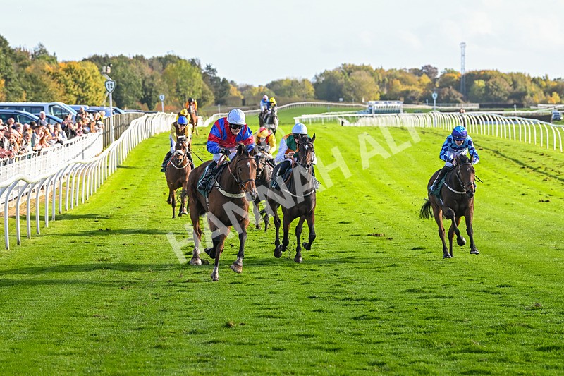 191024-Race 4-Three Dons-4297 - Race 4