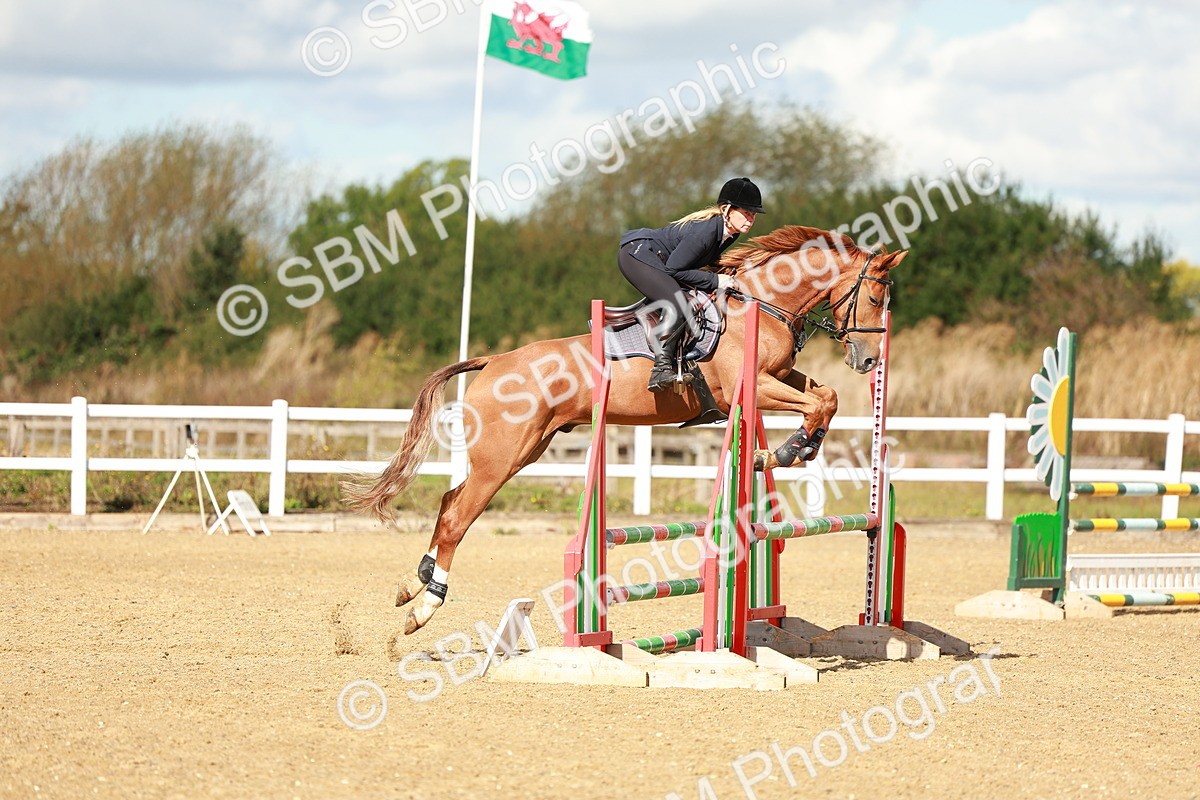 SBM_000562 - Class 2 - Senior British Novice - 90cm