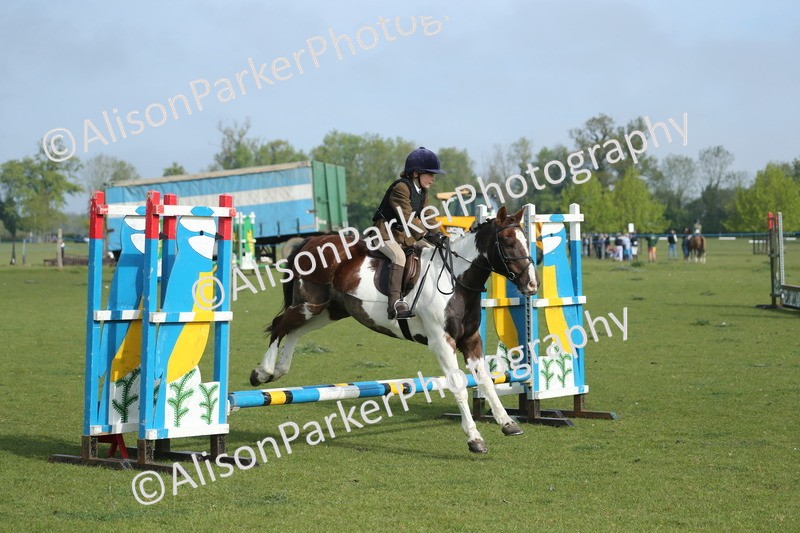 20260426-0061 - Class 13 - Rookie Jumping 50cm