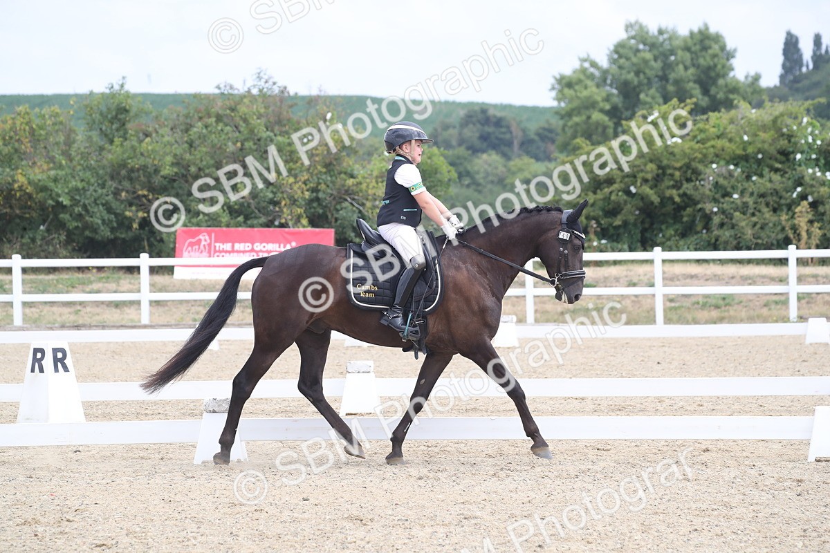 SBM_006740 - Novice 5 - 10.56-13.12