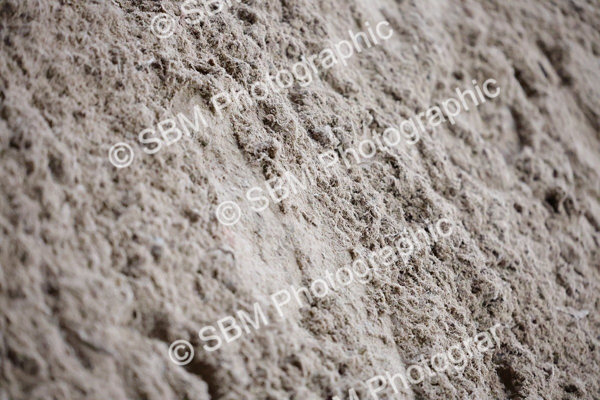 SBM_003998 - Class 10 - National B&C Handicap Championship Qualifier