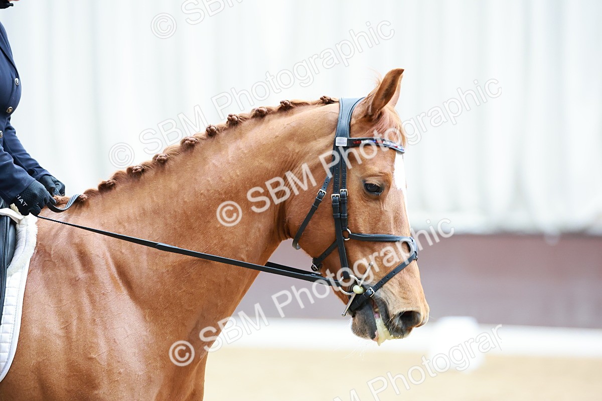 SBM_007695 - Class 7 - N2