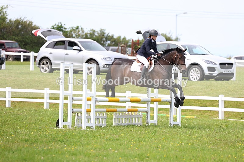3E7A1582 - Class 13: Senior British Novice/90cm open
