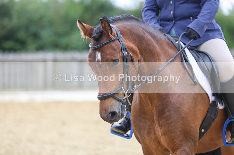 3E7A5159 - Class 2: Intro 4 2024 section B