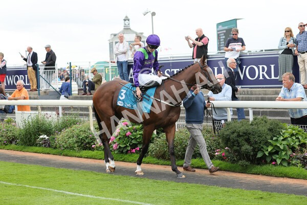 yr04092022r4-3 - Race 4 3.30pm Federation of Bloodstock Agents Nursery Handicap