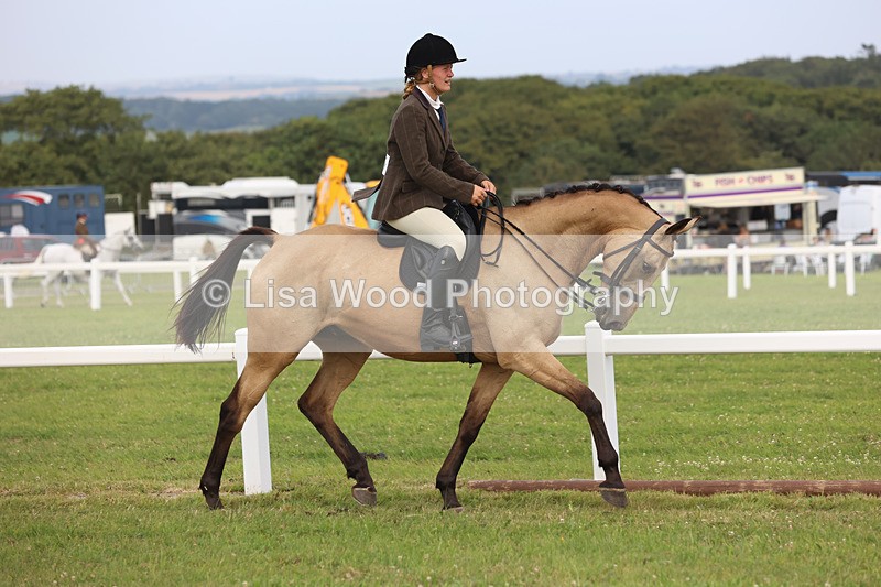 JPP_4416 - Class 26: Working Hunter 1m