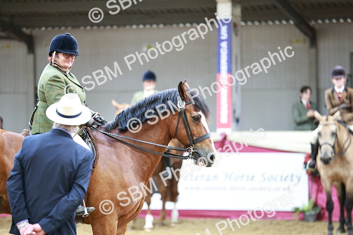SBM_03603 - Class 6A Area Ridden Pre-Vet