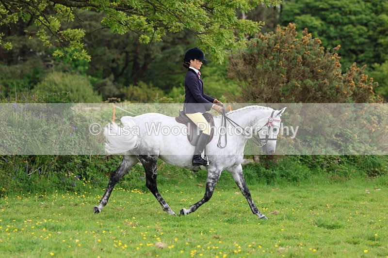 3E7A2063 - Class 11: Ridden Arab