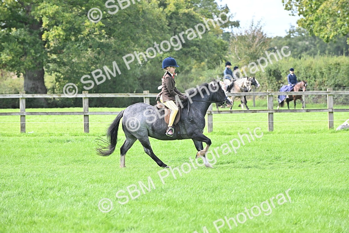 SBM_44515 - S13 - Pony Club Pony