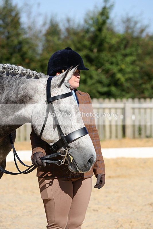 1X9A7804 - Class 9: Open Ridden Hunter