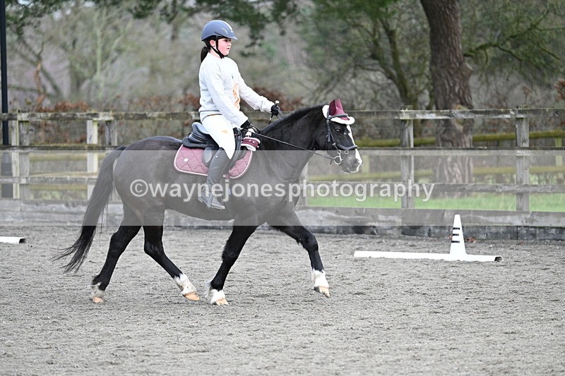 WJ7_4751 - Time 11:20 to 11:32