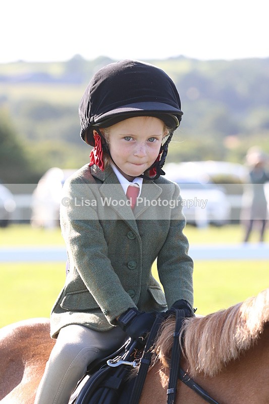 JPP_0732 - Class 16: Cornish Combination Leading Rein