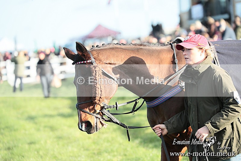 PtP 301125  0216 - Hursley Hambledon Point-to-Point Larkhill Racecourse 30/12/2025