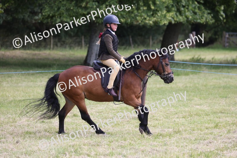 20260614-1837 - Class 21 - Novice Working Hunter Pony