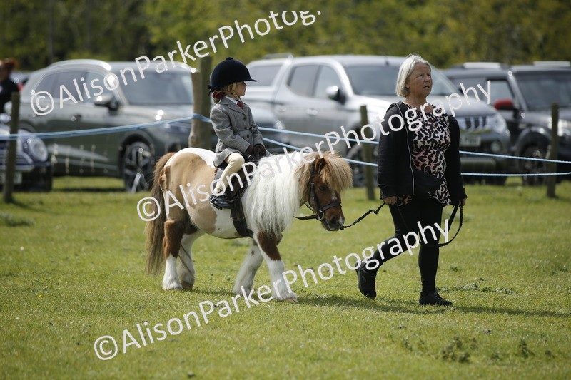 20260426-1861 - Class 7 - Pony Judge Would Most Like To Take Home