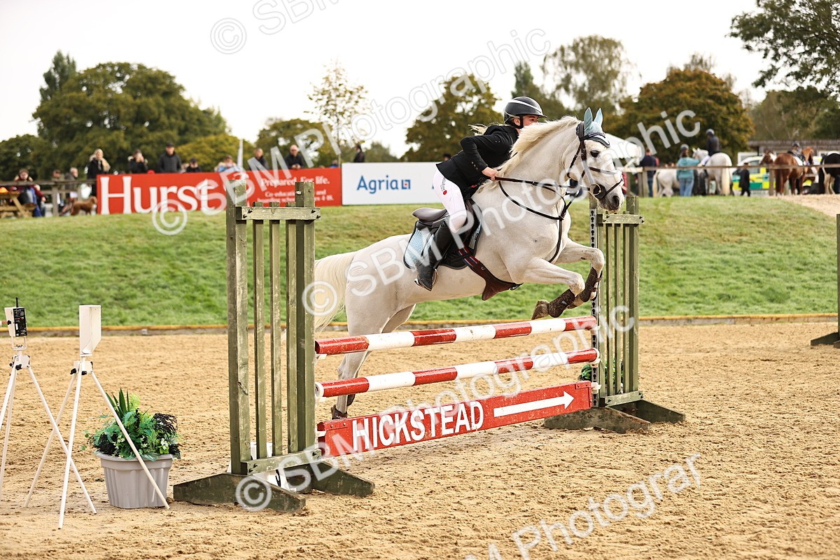 SBM_58171 - J41 - Grand Tour Horse & Pony 95cm