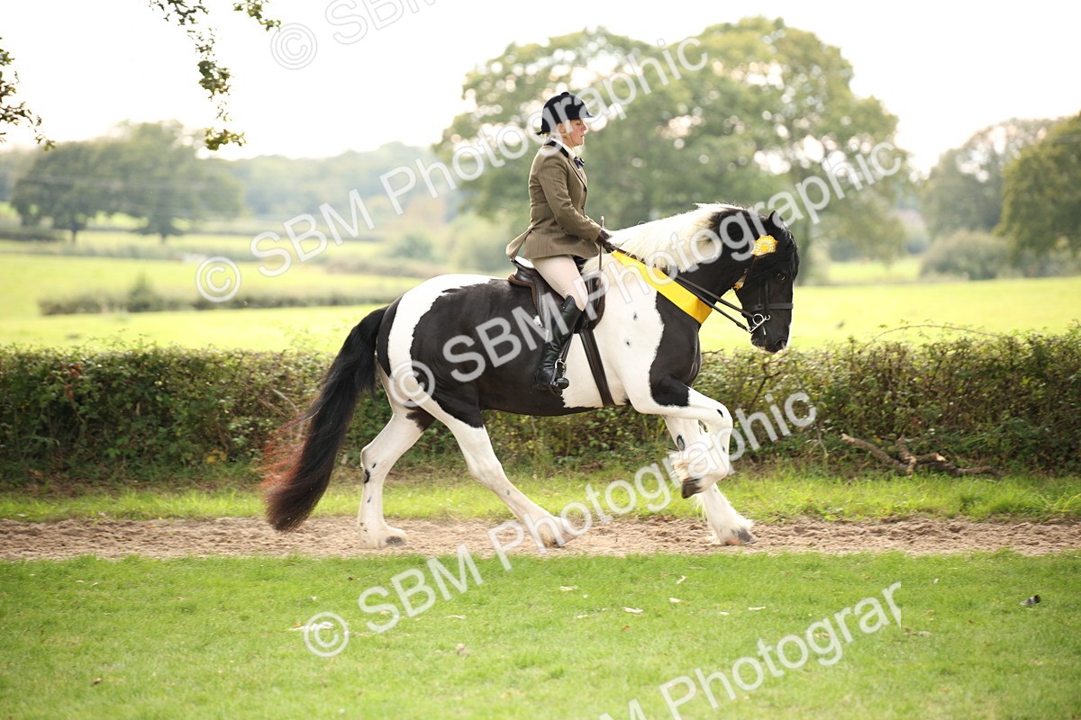 SBM_73636 - Ridden Horse Supreme Championship